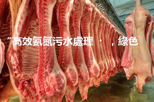 “高效氨氮污水處理，綠色環(huán)保新篇章”